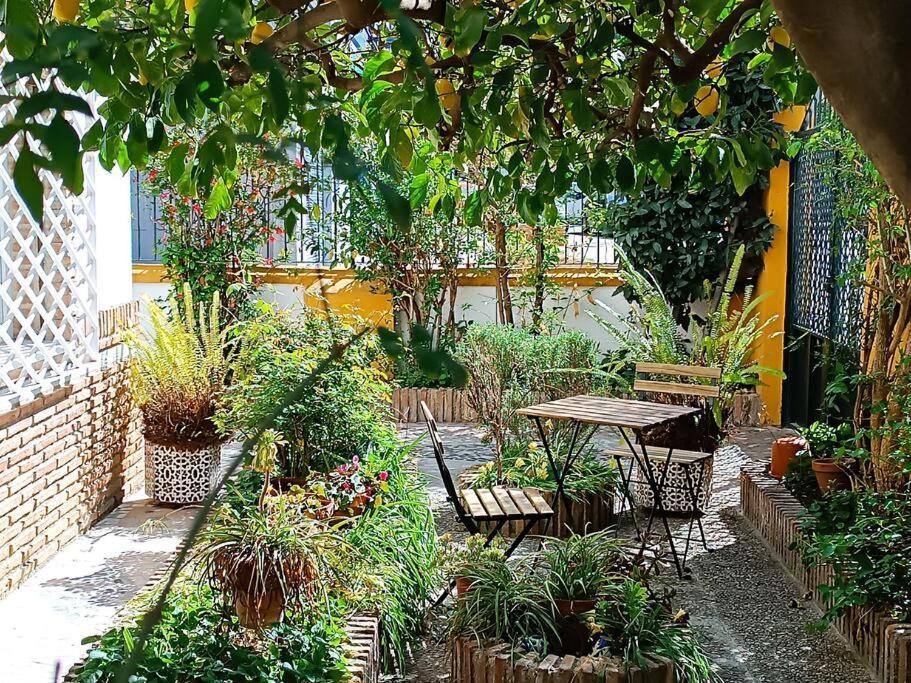 Casa Limonero Con Parking Gratis Junto A Centro Historico Villa Granada Bagian luar foto