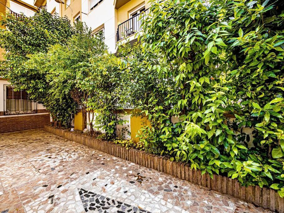 Casa Limonero Con Parking Gratis Junto A Centro Historico Villa Granada Bagian luar foto