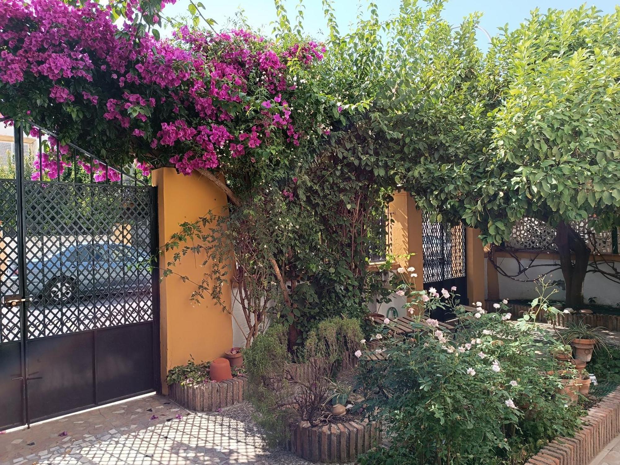 Casa Limonero Con Parking Gratis Junto A Centro Historico Villa Granada Bagian luar foto